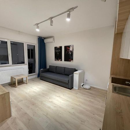 Amethyst Luxury Apartment Palace Bukurešť Exteriér fotografie