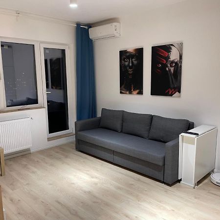 Amethyst Luxury Apartment Palace Bukurešť Exteriér fotografie